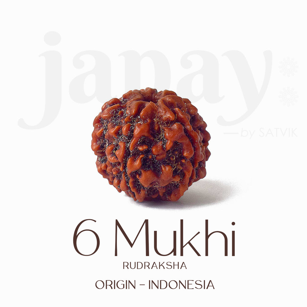 Certified 6 Mukhi brown Rudraksha bead placed on red fabric, symbolizing courage, focus, and inner discipline for spiritual and professional growth. India’s Largest Pooja Accessories Brand - www.satvikstore.in