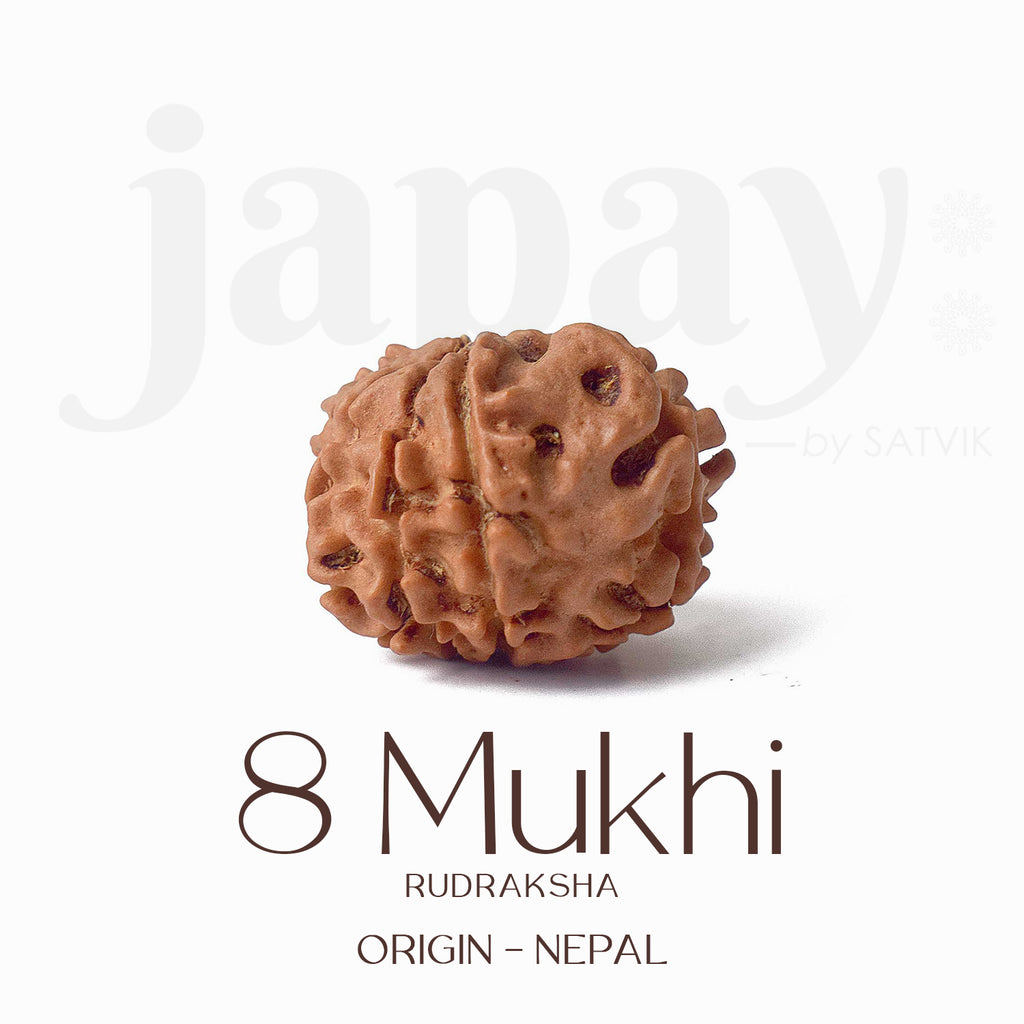 Certified 8 Mukhi Rudraksha bead in natural brown color from Indo origin placed on red cloth for success, clarity, and spiritual protection. India’s Largest Pooja Accessories Brand - www.satvikstore.in
