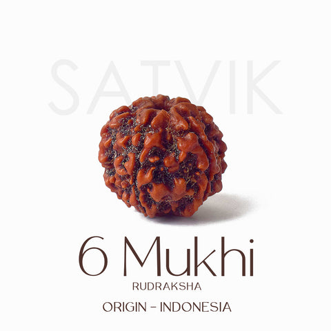Certified 6 Mukhi brown Rudraksha bead placed on red fabric, symbolizing courage, focus, and inner discipline for spiritual and professional growth. India’s Largest Pooja Accessories Brand - www.satvikstore.in
