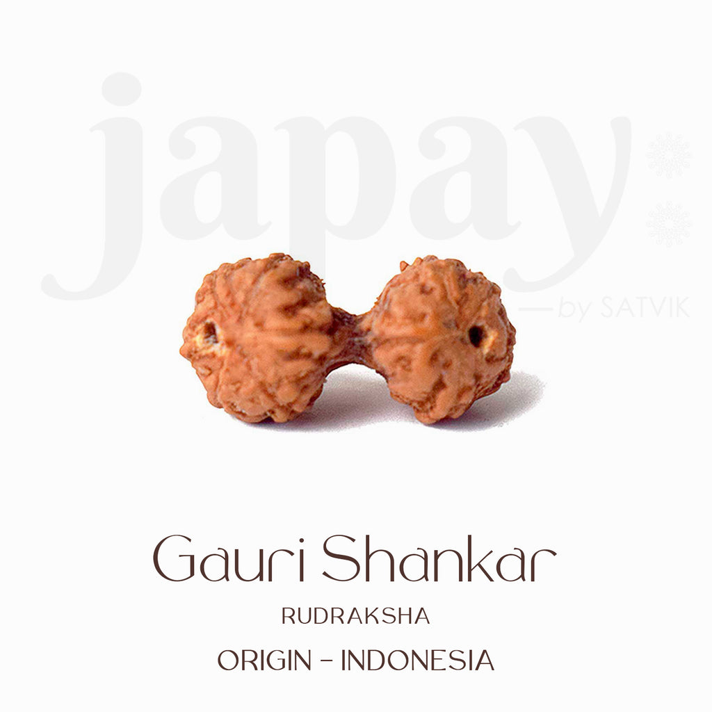 Certified Gauri Shankar Rudraksha bead in natural brown color from Indo origin placed on red cloth, symbolizing love, unity, and divine marital harmony. India’s Largest Pooja Accessories Brand - www.satvikstore.in