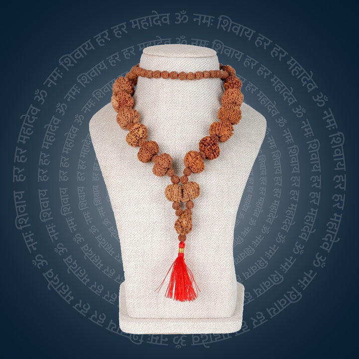 Siddha Mala with 5+1 Sawar Rudraksha Nepal collector grade mala. India’s Premium Rudraksha Jap Mala Brand - www.satvikstore.in